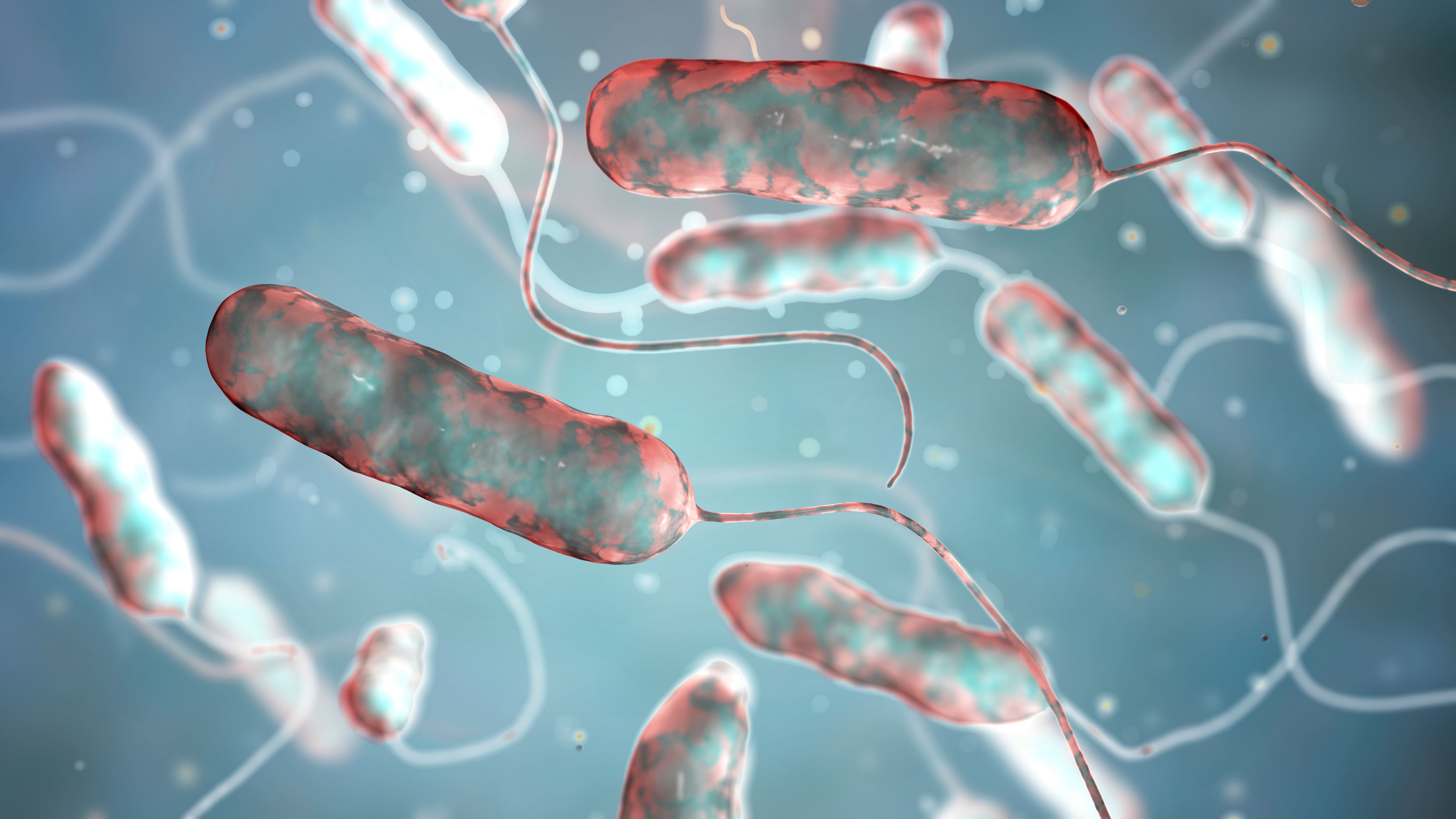 Legionella besmetting bestrijden